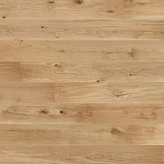 OAK JOY